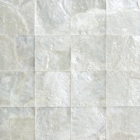 Capiz Shells Tile 10003