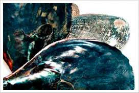 BLACKTAB SHELL TILES